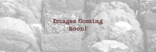 image coming soon!